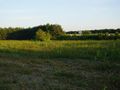 Działka inwestycyjna 1,50 ha, Ramiszów - zdjęcie 4