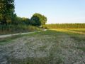 Działka inwestycyjna 1,50 ha, Ramiszów - zdjęcie 3