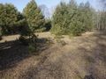 Działka budowlana 3071 m², Janiszów - zdjęcie 6