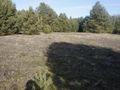 Działka budowlana 3071 m², Janiszów - zdjęcie 2