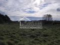 Działka budowlana 4700&nbsp;m², Warnowo - zdjęcie 6