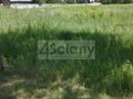 Działka budowlana 5488 m², Strzeniówka - zdjęcie 1