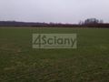 Działka rolna 3000&nbsp;m², Kromnów - zdjęcie 2