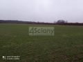 Działka rolna 3000&nbsp;m², Kromnów - zdjęcie 6