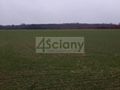 Działka rolna 3000&nbsp;m², Kromnów - zdjęcie 1