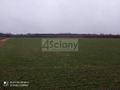 Działka rolna 3000&nbsp;m², Kromnów - zdjęcie 5