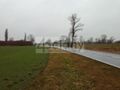 Działka rolna 3000&nbsp;m², Kromnów - zdjęcie 3