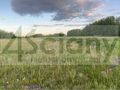 Działka budowlana 2000&nbsp;m², Święcice - zdjęcie 3