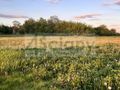 Działka budowlana 2000&nbsp;m², Święcice - zdjęcie 2