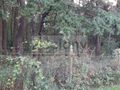 Działka budowlana 3500&nbsp;m², Magdalenka - zdjęcie 1