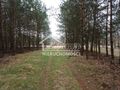 Działka budowlana 3249 m², Krzywice - zdjęcie 6