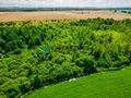 Piękna działka 0,64 ha - rolna - zdjęcie 4