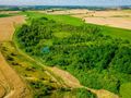 Piękna działka 0,64 ha - rolna - zdjęcie 3