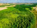 Piękna działka 0,64 ha - rolna - zdjęcie 1