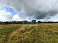 Działka rolna 2,20 ha, Żarowo - zdjęcie 6