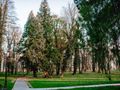 Działka inwestycyjna 5795 m², Radwanice, Katarzyńska - zdjęcie 5