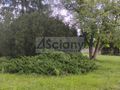 Działka budowlana 1943&nbsp;m², Warszawa - zdjęcie 1