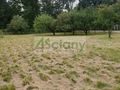 Działka budowlana 1993 m², Warszawa - zdjęcie 3