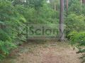 Działka budowlana 3053&nbsp;m², Sulejówek - zdjęcie 4