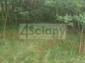 Działka budowlana 3053&nbsp;m², Sulejówek - zdjęcie 2