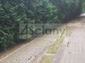 Działka budowlana 3053&nbsp;m², Sulejówek - zdjęcie 3
