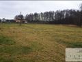 Działka rolna 2700 m², Wilków - zdjęcie 2