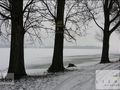 Działka rolna 1,14 ha, Zarzęcin - zdjęcie 3
