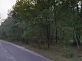 Działka budowlana 1,98&nbsp;ha, Żytowice - zdjęcie 2