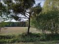 Działka budowlana 1,98&nbsp;ha, Żytowice - zdjęcie 3