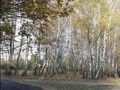 Działka rolna 9761 m², Łódź - zdjęcie 2
