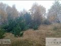 Działka rolna 2,96 ha, Siucice-Kolonia - zdjęcie 3