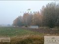 Działka rolna 2,96 ha, Siucice-Kolonia - zdjęcie 2