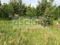Działka budowlana 1466&nbsp;m², Adamowizna - zdjęcie 3