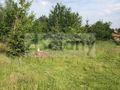Działka budowlana 1466&nbsp;m², Adamowizna - zdjęcie 4