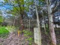Działka budowlana 1243 m², Zalesie - zdjęcie 1