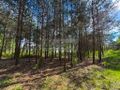 Działka budowlana 1243 m², Zalesie - zdjęcie 2