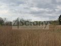 Działka budowlana 2,69&nbsp;ha, Halinów - zdjęcie 2