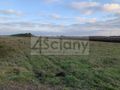 Działka inwestycyjna 9900&nbsp;m², Nowa Wola - zdjęcie 1