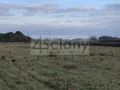 Działka inwestycyjna 9900&nbsp;m², Nowa Wola - zdjęcie 2
