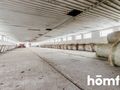Magazyn na sprzedaż, 6530&nbsp;m², Wieliszew, Myśliwska - zdjęcie 3