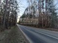 Działka budowlana 1836&nbsp;m², Ojrzanów - zdjęcie 4