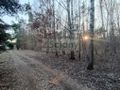 Działka budowlana 1250&nbsp;m², Ojrzanów - zdjęcie 2