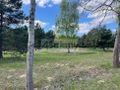 Działka budowlana 1235&nbsp;m², Ojrzanów - zdjęcie 2