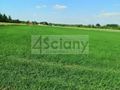 Działka budowlana 923&nbsp;m², Jachranka - zdjęcie 2