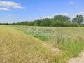 Działka budowlana 923&nbsp;m², Jachranka - zdjęcie 1