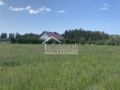 Działka budowlana 2,05&nbsp;ha, Przybiernów - zdjęcie 1