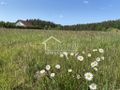 Działka budowlana 2,05&nbsp;ha, Przybiernów - zdjęcie 2