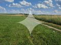 Działka rolna 7985&nbsp;m², Dobrzyniewo Kościelne - zdjęcie 3