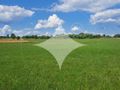 Działka rolna 7985&nbsp;m², Dobrzyniewo Kościelne - zdjęcie 6
