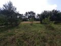 Działka budowlana 906&nbsp;m², Zawonia, Wiosenna - zdjęcie 2